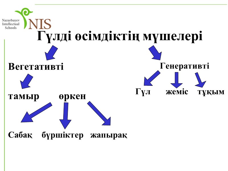 Үш күйде кездеседі           