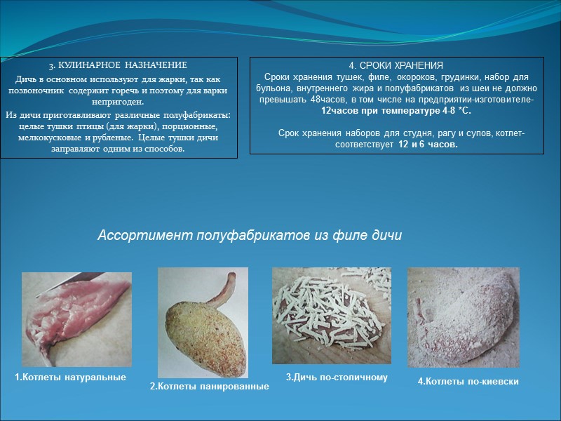 Приготовление полуфабрикатов из птицы и дичи презентация