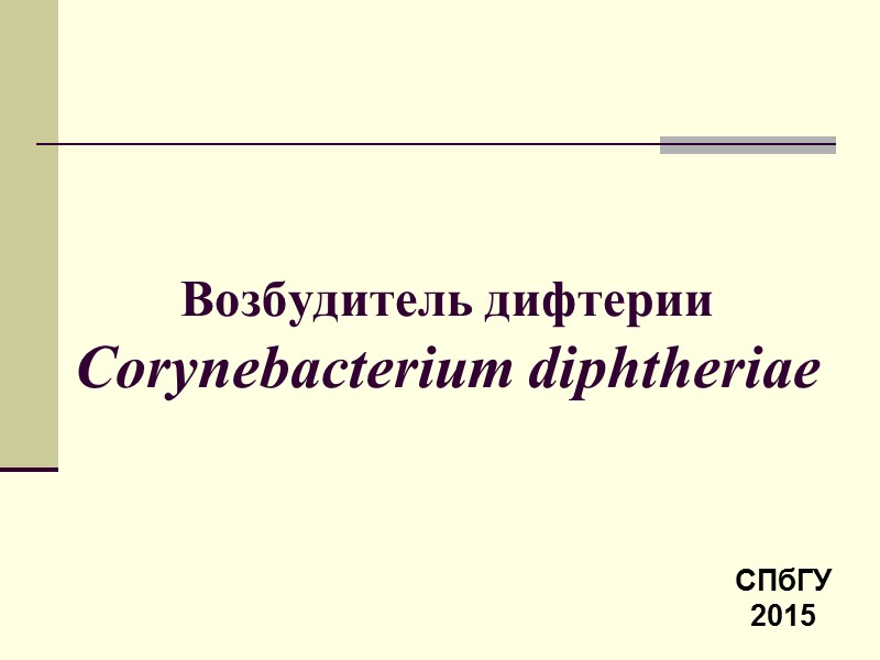 Возбудитель дифтерии Corynebacterium diphtheriae  СПбГУ 2015