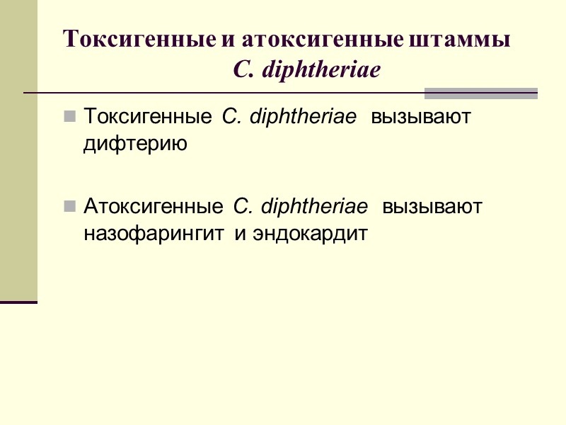 Биотипы (biotype) =  биовары  C.diphtheriae на шоколадно-теллуритовом агаре  gravis  