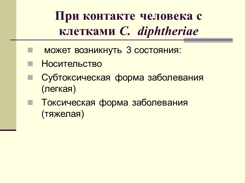 Дифтерийный экзотоксин Генетическая информация (ген tox+) о продуцировании экзотоксина клетками  C.  diphtheriae