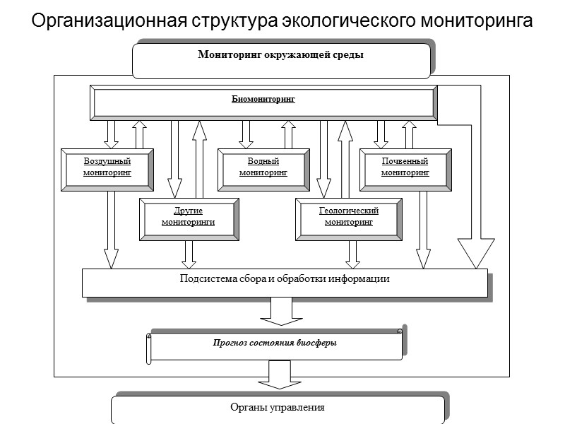 Уровни экологического мониторинга схема