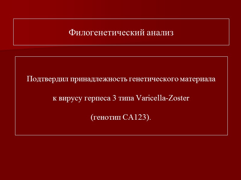 ВО. Пустулы и рубчики.