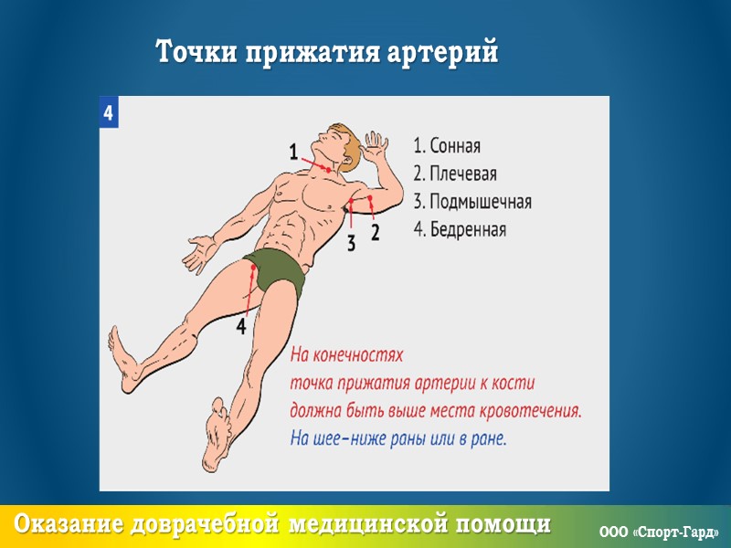 Обязанности сотрудников ЧОО    Правовая подготовка ООО «Спорт-Гард»