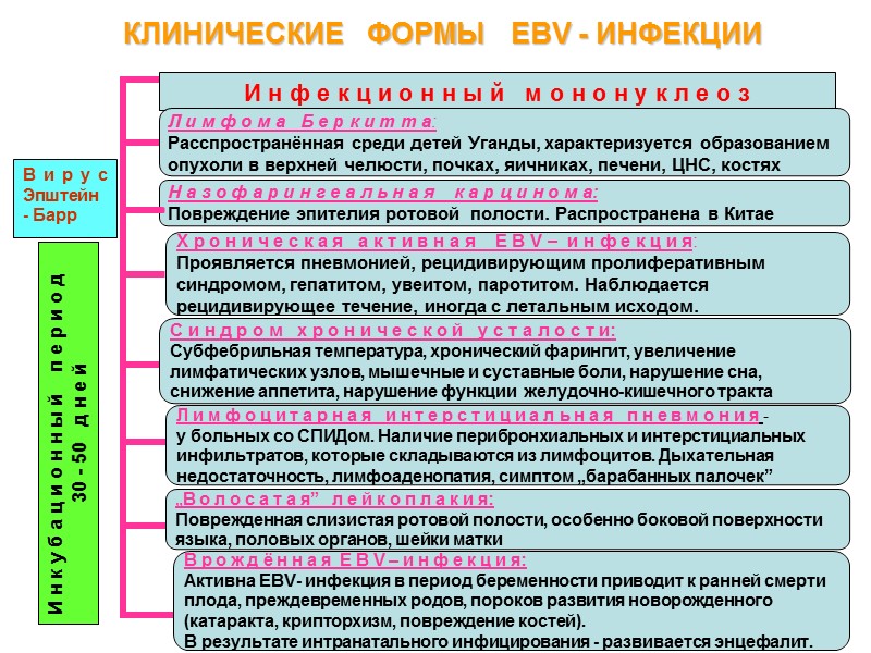 КЛАССИФИКАЦИЯ  ГЕРПЕТИЧЕСКОЙ ИНФЕКЦИИ