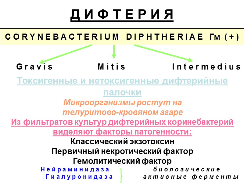 Провоцирующие факторы развития ангины: переохлождение   фоновые острые респираторнные и другие вирусные инфекции