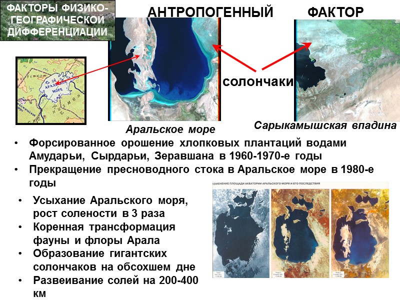 ФАКТОРЫ ФИЗИКО-ГЕОГРАФИЧЕСКОЙ ДИФФЕРЕНЦИАЦИИ ЗОНАЛЬНОСТЬ И СЕКТОРНОСТЬ