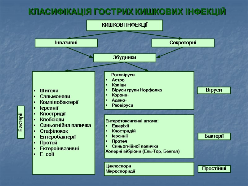 ФАКТОРИ   РИЗИКУ   РОЗВИТКУ  КИШКОВИХ   ІНФЕКЦІЙ  