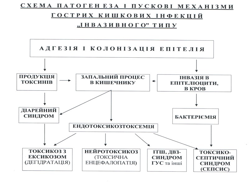 Н Е Й Р О Т О К С И К О З 