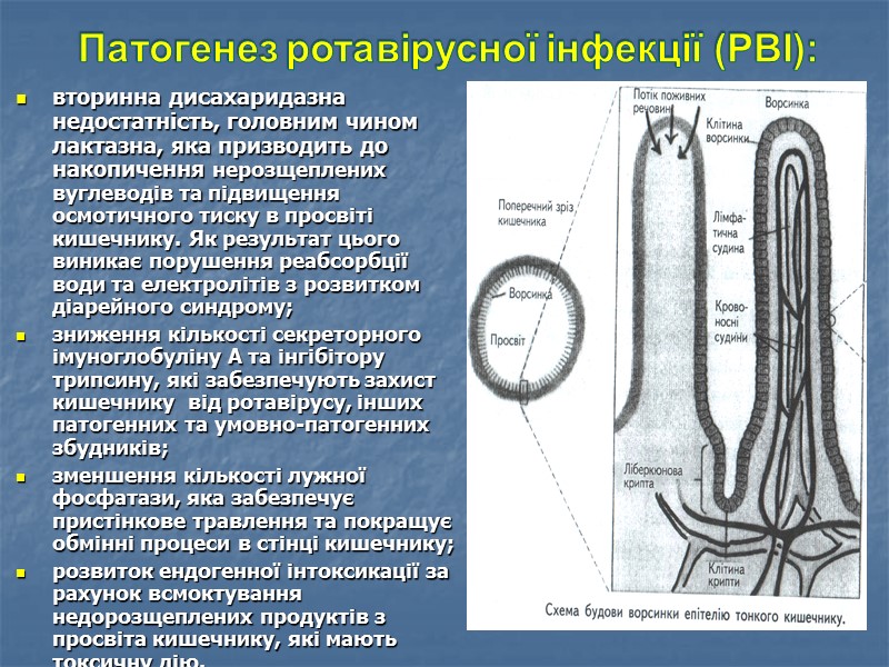 „ Г А С Т Р И Т ” - враження   шлунка,