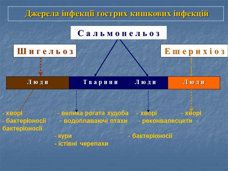 Класифікація гострих кишкових інфекцій за “пусковим” механізмом і патогенезом розвитку діареї  Осмотичний тип