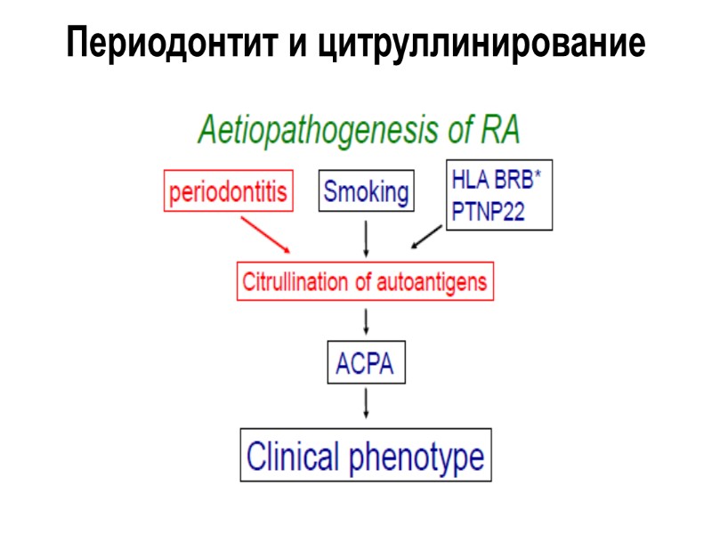 ACPA: что является антигеном? Генерические: CCP (отличный диагностический тест, не является аутоантигеном, ограниченные возможности