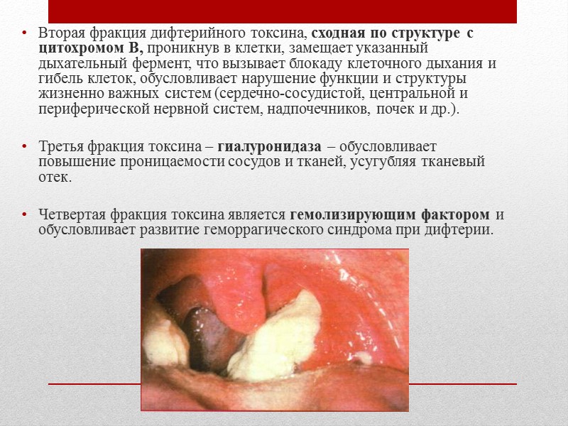 Список литературы Практика инфекциониста/ В.С.Васильев, В.И. Комар, В.М. Цыркунов. – МН.: Высш.шк. 2001г. 495с.