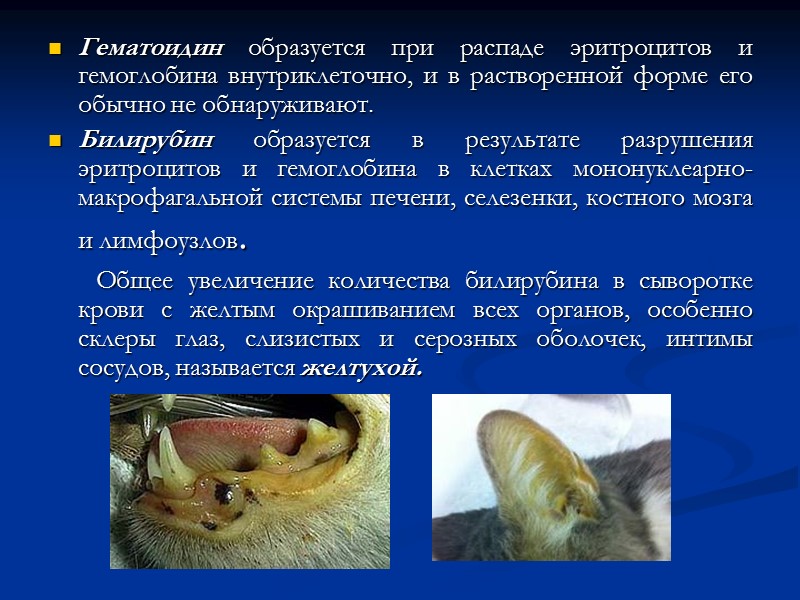 Мукоидное набухание Мукоидное набухание — начальная стадия дезорганизации соединительной ткани (стромы органов, сосудов), которая