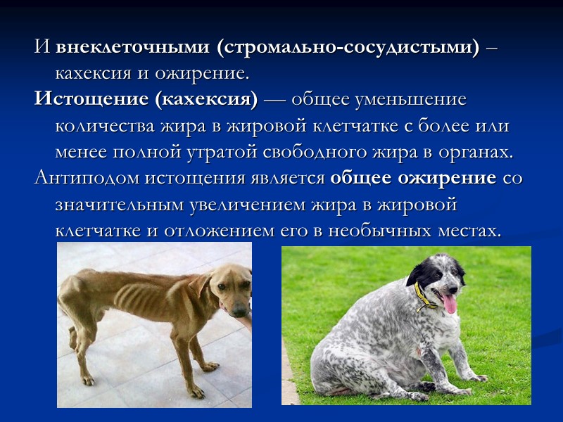 Экзогенные пигментации  связаны с поступлением в организм чужеродных красящих веществ из внешней среды