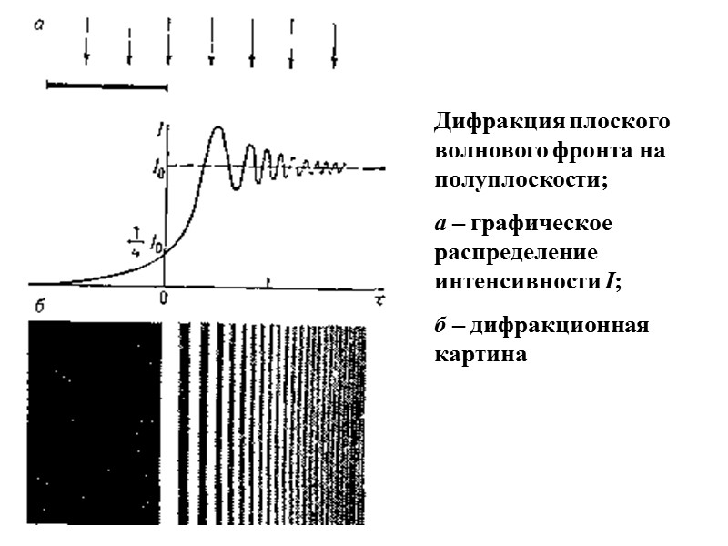 6. Понятие о голографии Голография (от греч. holos grapho – полная запись). В 1948г.