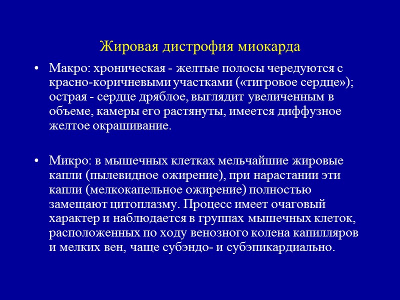 Паренхиматозная жировая дистрофия. Механизм жировой дистрофии миокарда. Паренхиматозная жировая дистрофия миокарда. Механизм развития жировой дистрофии миокарда. Паренхиматозная дистрофия миокарда.