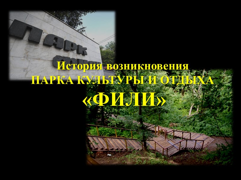 Природа парка «ФИЛИ» Животный мир Обыкновенный ёж. Занесён в Красную книгу города Москвы как