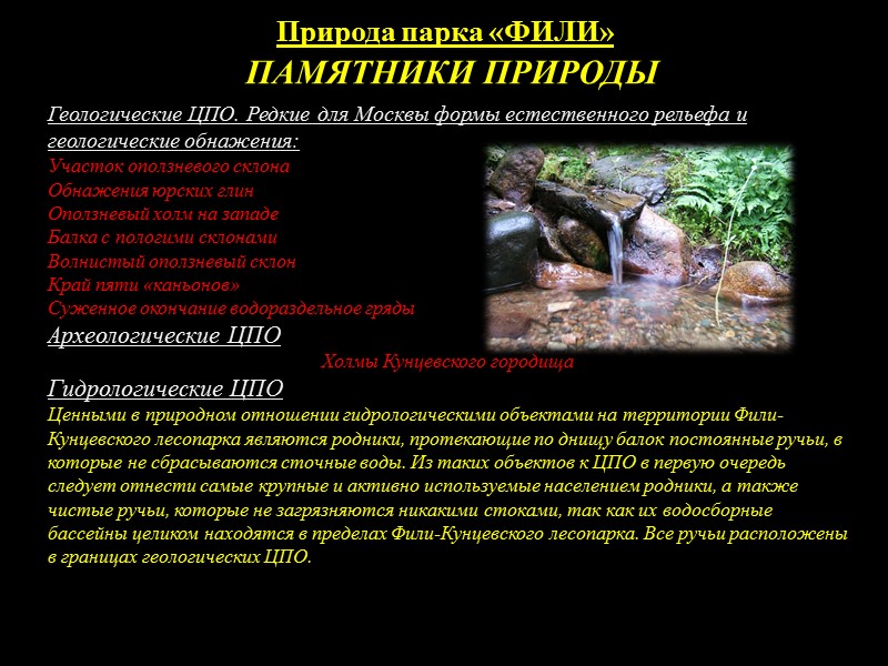 ПАМЯТНИКИ ПРИРОДЫ ПАРКА КУЛЬТУРЫ И ОТДЫХА   «ФИЛИ»