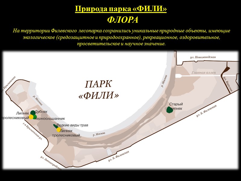 Парк фили карта парка