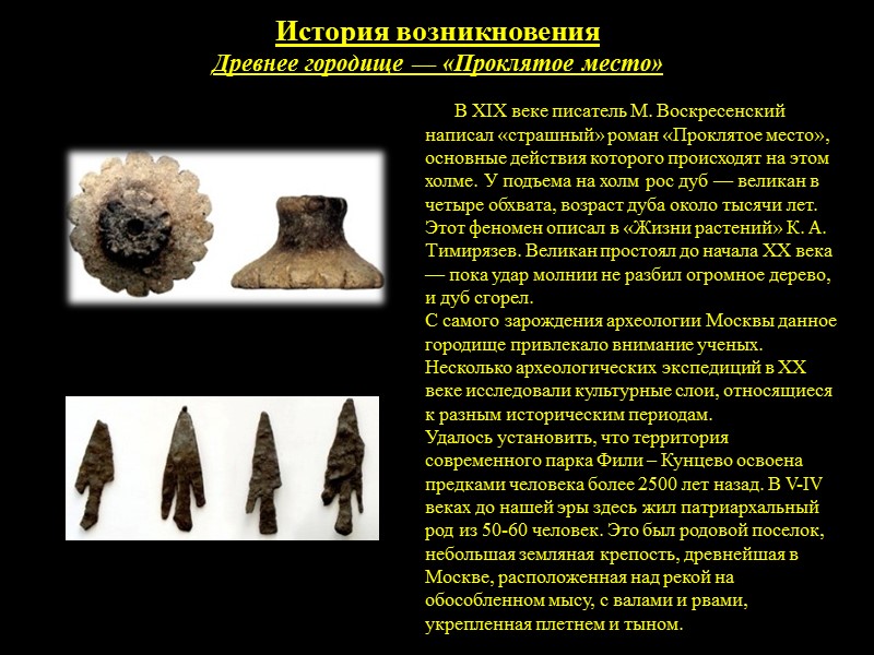 Природа парка «ФИЛИ» ФЛОРА Дубняк Фили-Кунцевского лесопарка Большая часть произрастающих здесь дубов старше 140