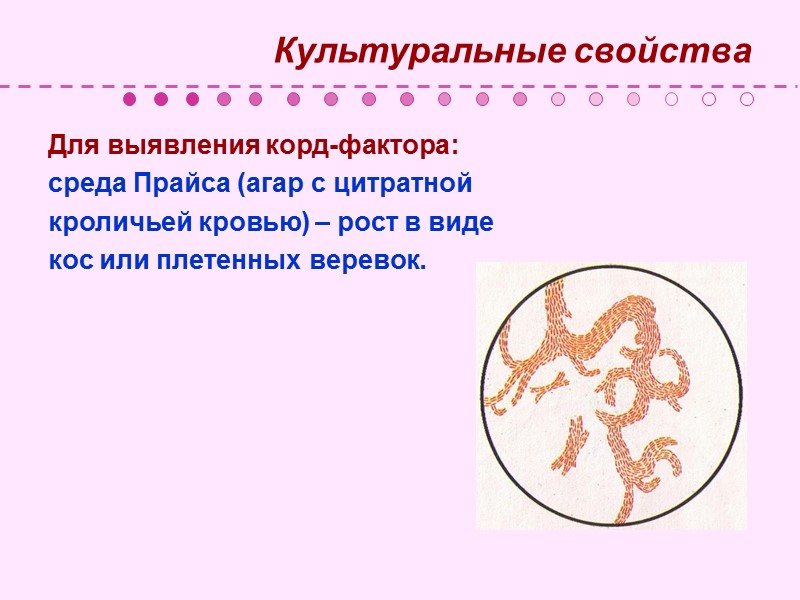 Причины распространенности туберкулеза: Сокращение объемов финансирования противотуберкулезных программ. Снижение социально-экономического уровня жизни граждан. 