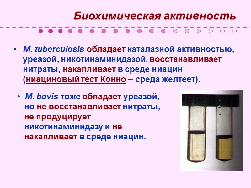 Историческая справка   Аретей Каппадокийский,      Гиппократ – описали