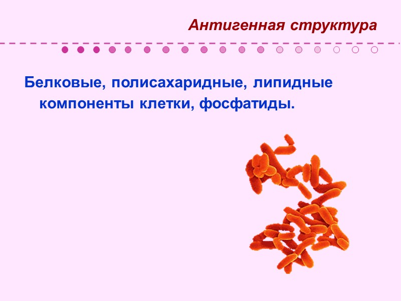 Таксономия  Порядок – Actinomycetales  Семейство – Mycobacteriaceae Род – Mycobacterium Виды –