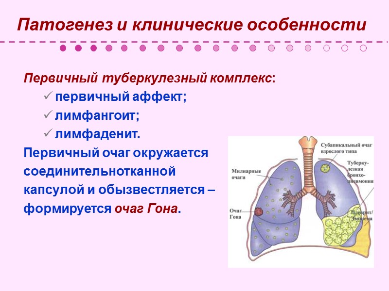 Антигенная структура Белковые, полисахаридные, липидные компоненты клетки, фосфатиды.