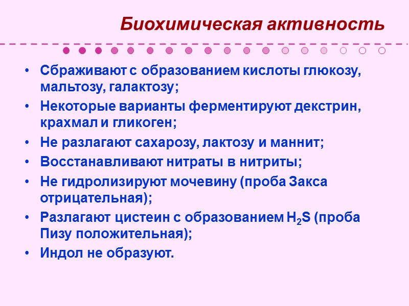 M. leprae в мазках располагаются внутриклеточно параллельными рядами в виде «пачек сигарет». Скопления этих