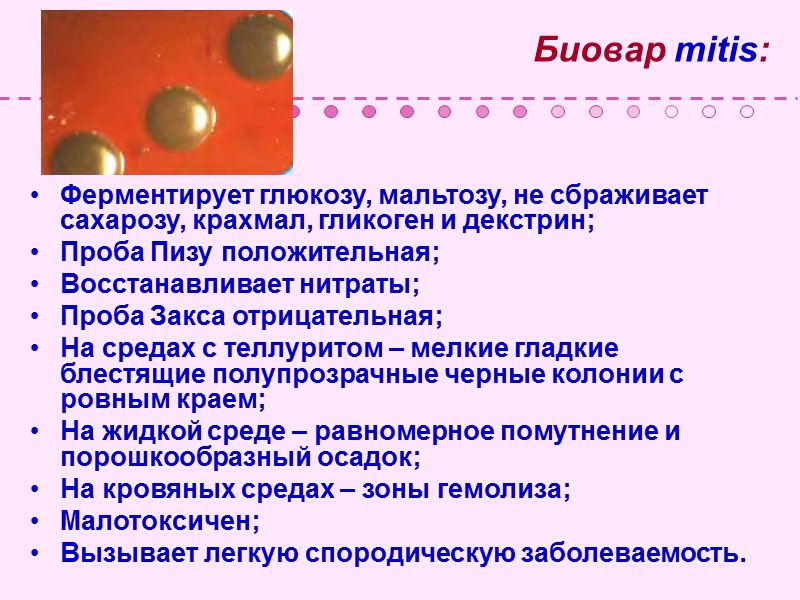 M. leprae – облигатный внутриклеточный паразит, на питательных средах не растет, (заболевание воспроизводится на