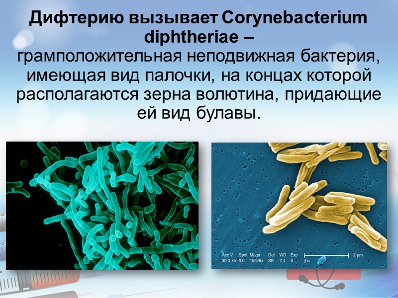 Симптомы и признаки. Через 3-5 дней кожа бледнеет и начинается сильное шелушение, особенно выраженное