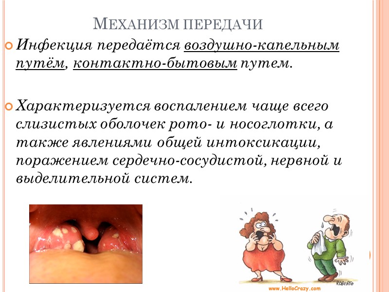 Дифтерия - инфекционная болезнь, протекающая с местным фибринозным воспалением, преимущественно миндалин, интоксикацией, нередким поражением