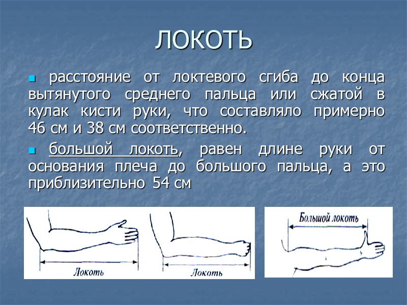 Локоть мера длины сколько. Локоть. Локоть мера длины. Длина локтя человека.