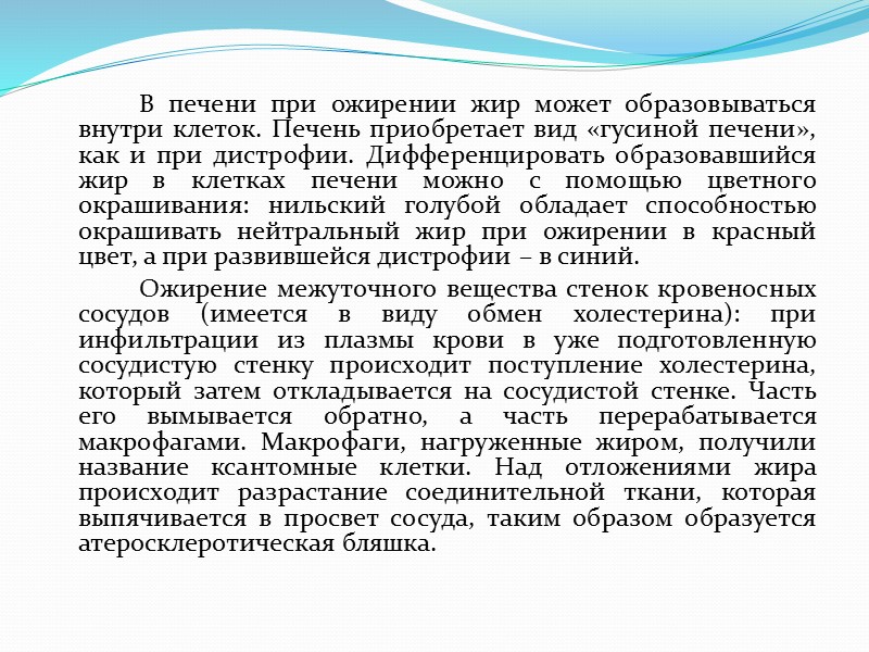 Жиры определяются при помощью специальных красителей:  1) судан-III обладает способностью окрашивать жир в