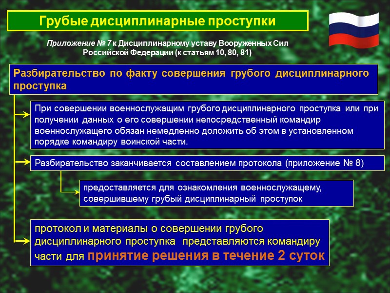 Административное расследование в воинской части образец