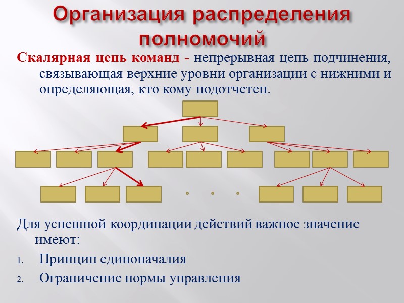 Предприятия распределения. Скалярная цепь в менеджменте. Цепочка команд. Цепь команд это в менеджменте. Принцип скалярной цепи.