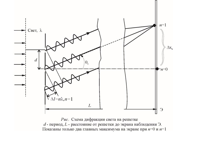 Дифракция Фраунгофера на периодической структуре Дифракционная решётка – совокупность большого числа регулярно расположенных штрихов