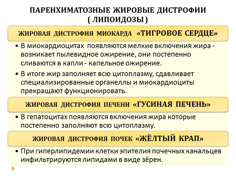 В зависимости от локализации и вида нарушенного обмена веществ КЛАССИФИКАЦИЯ  ДИСТРОФИЙ  В