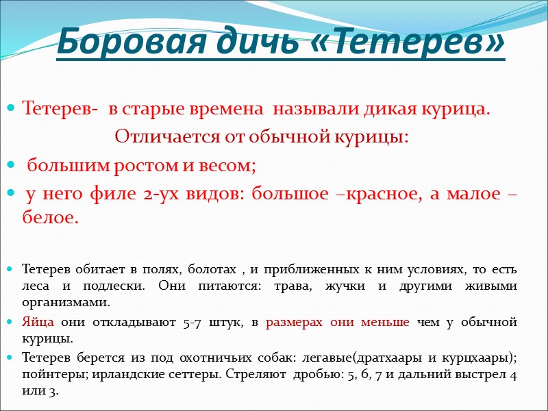 Перепел   самая маленькая птичка из всей болотно-луговой дичи.  весенняя птица, которая