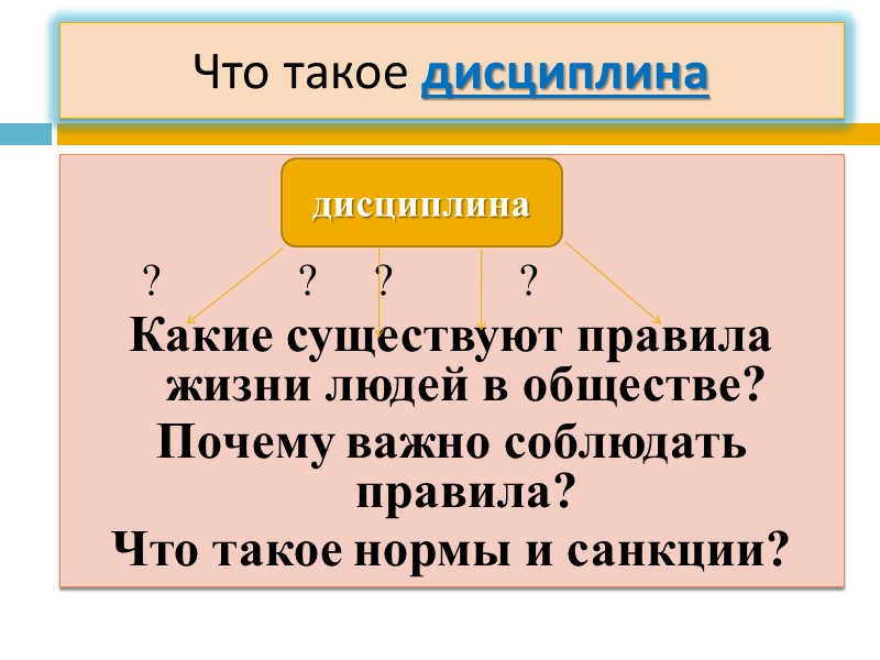 Что такое дисциплина           