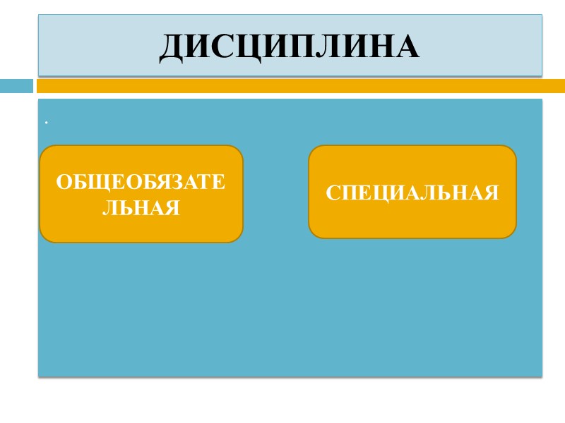 ДИСЦИПЛИНА .     ОБЩЕОБЯЗАТЕЛЬНАЯ СПЕЦИАЛЬНАЯ