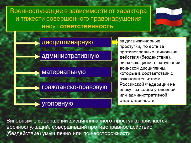 Поощрения присвоение воинского звания «ефрейтор», присвоение очередного воинского звания досрочно, но не выше воинского