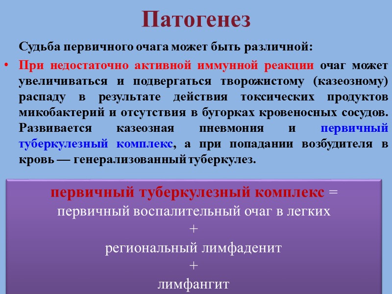 Возбудители туберкулеза у человека Mycobacterium tuberculosis   90 – 95 % всех случаев