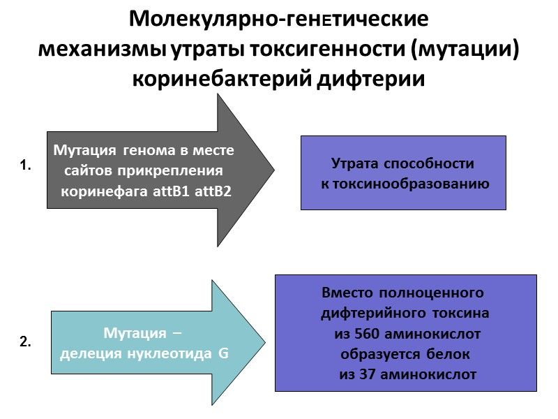 История  изучения