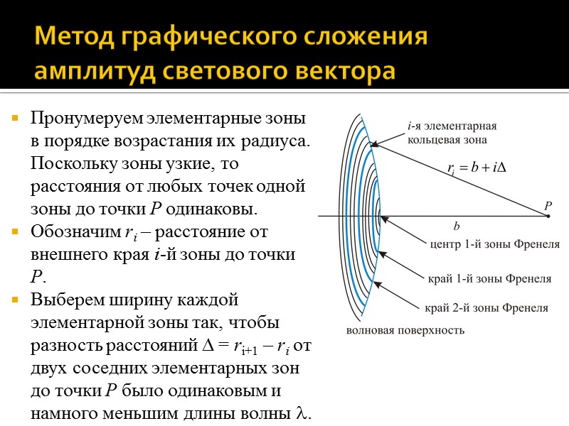 Метод зон френеля позволяет оценить амплитуду колебаний в любой точке дифракционной картины