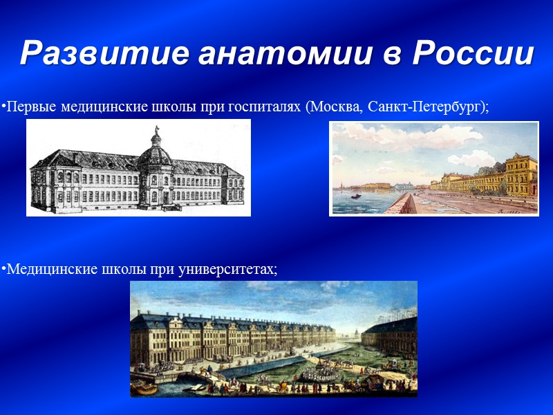 Методики анатомического исследования Бальзамирование – процесс обработки анатомических объектов консервирующим веществом, направленный на прекращение