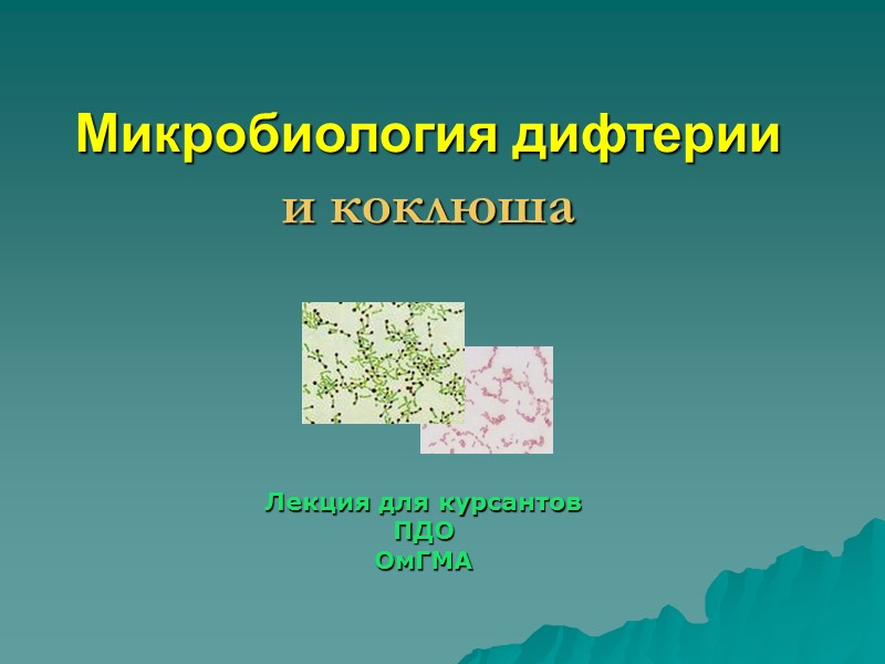 Лекция для курсантов  ПДО ОмГМА   Микробиология дифтерии и коклюша