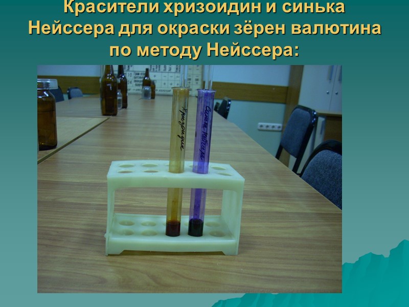 Антигенная структура Corynebacterium diphtheriae  Имеют:  - межродовой О – Аг (Полисахаридный Аг