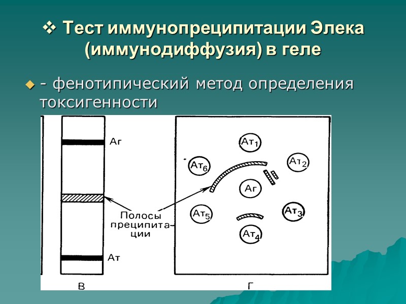 Серологические методы РПГА   РПГА « + »     